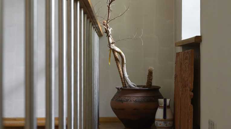 Image 15