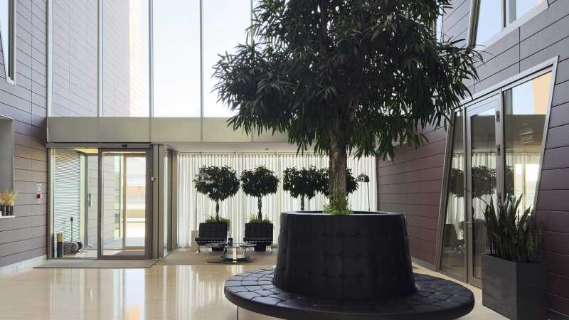 Image 11